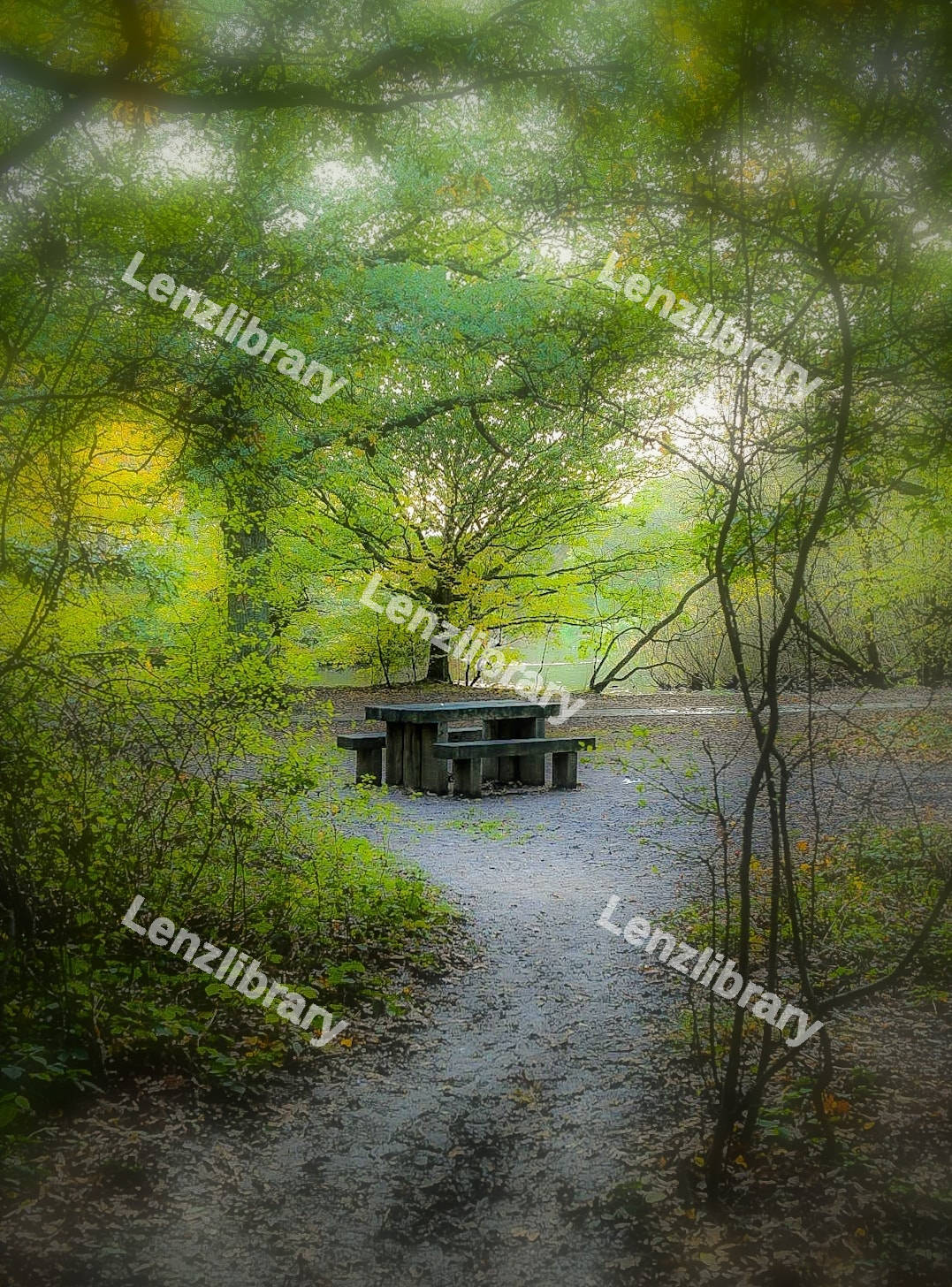 Park Bench